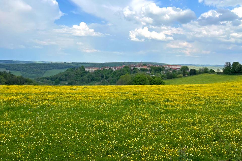 Bourgogne | Foto: reisleider Johan