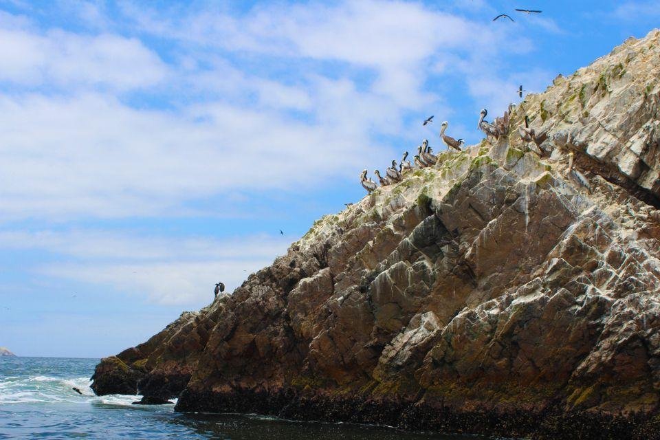 Ballestas-eilanden, Peru
