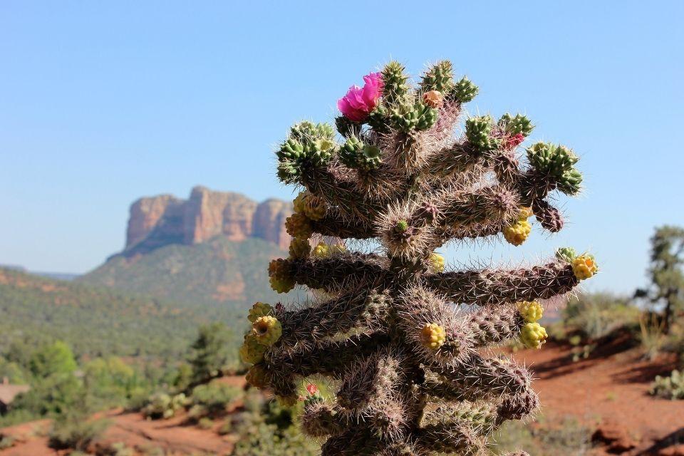 Sedona, Amerika