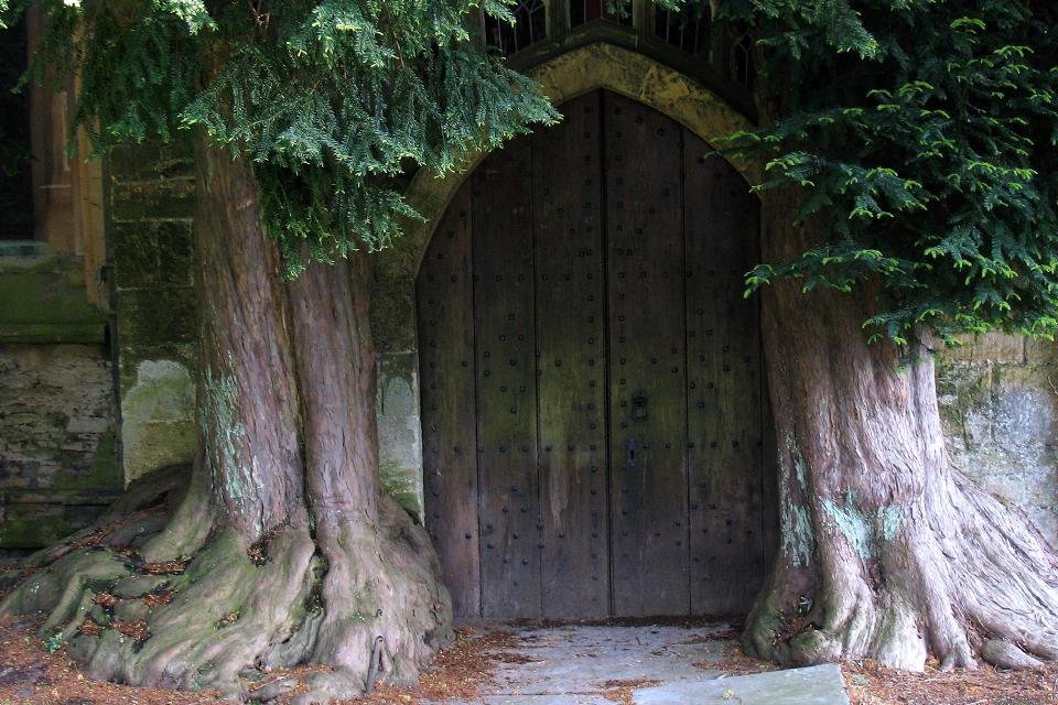 St. Edward's Church in de Cotswolds, Groot-Brittannië | Foto: Spencer Means