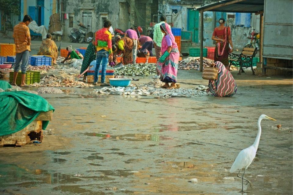 Vismarkt in Vanakbara India