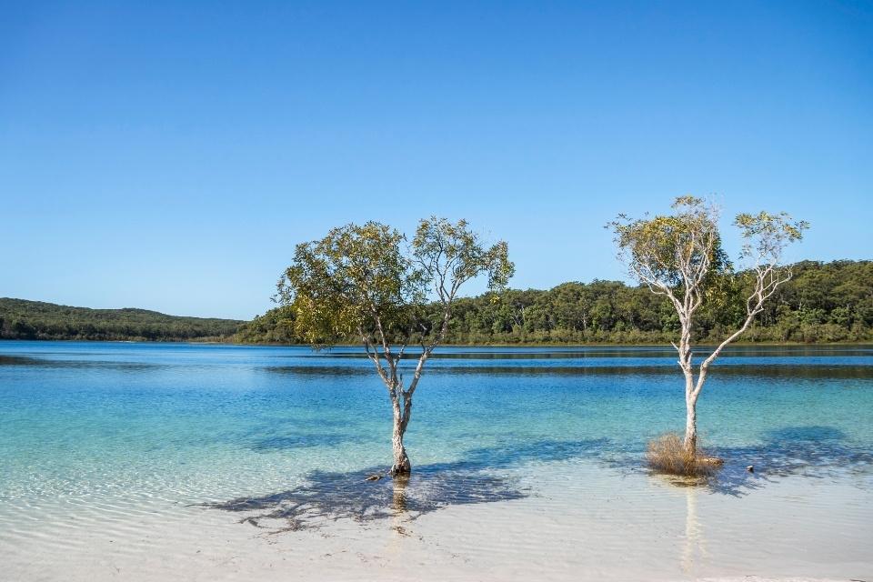 Het blauwe water van Lake McKenzie, Fraser Island, Australië
