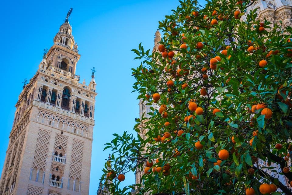 Giralda in Sevilla, Andalusië, Spanje