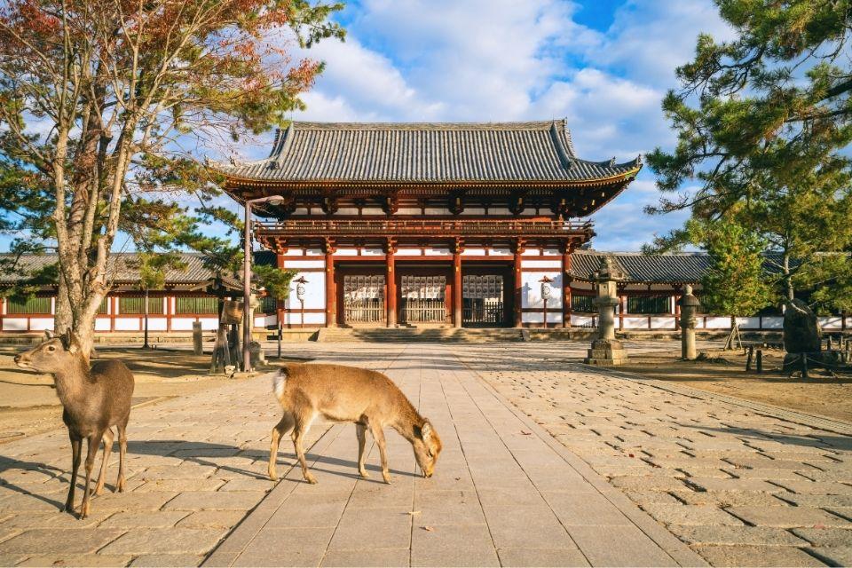 De Todaiji-tempel in Nara, Japan