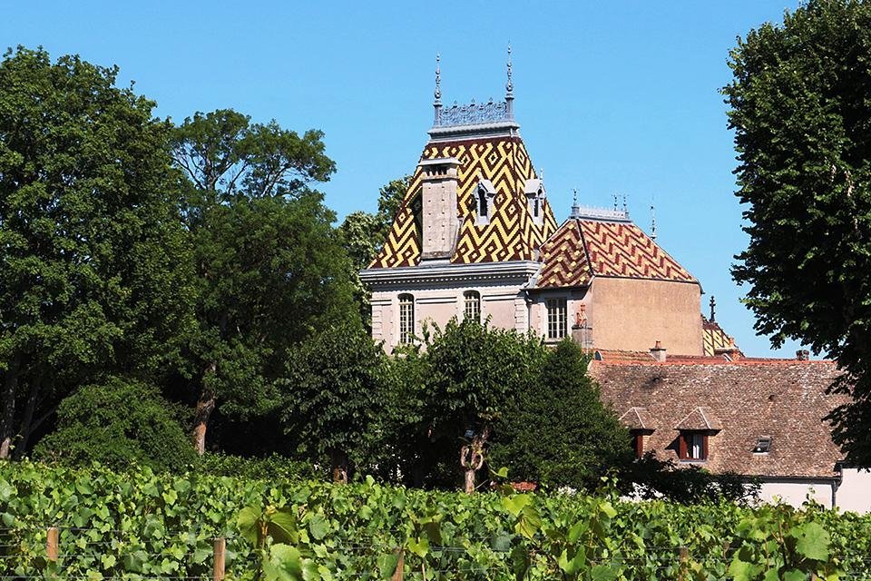 Aloxe Corton, Bourgogne, Frankrijk