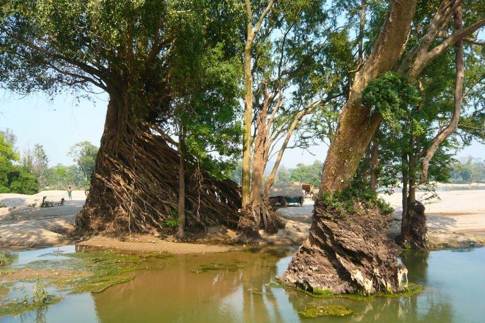 De wetlands van de Mekong Cambodja