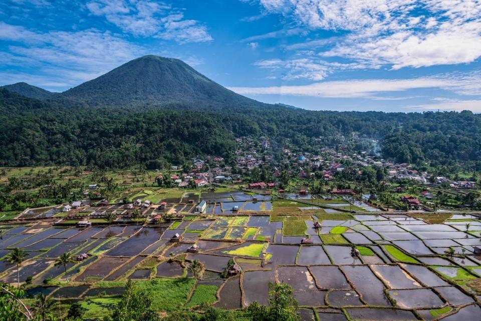 Rijstvelden rond Tomohon, Sulawesi, Indonesië