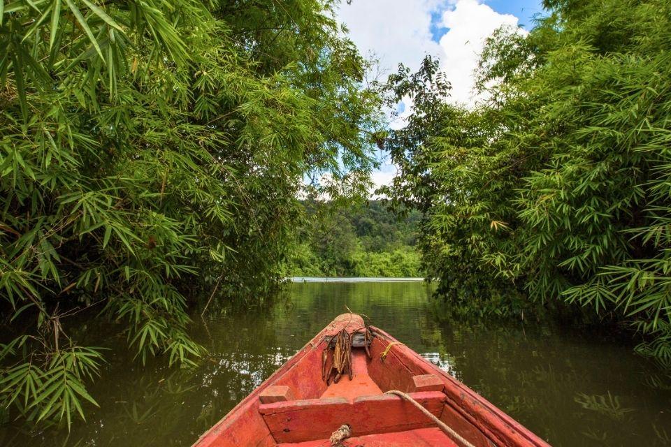 Mangrovebos bij Tatai Cambodja