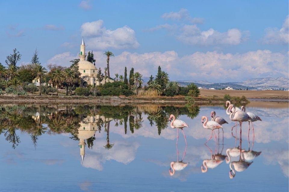 Hala Sultan Tekke Larnaka Cyprus