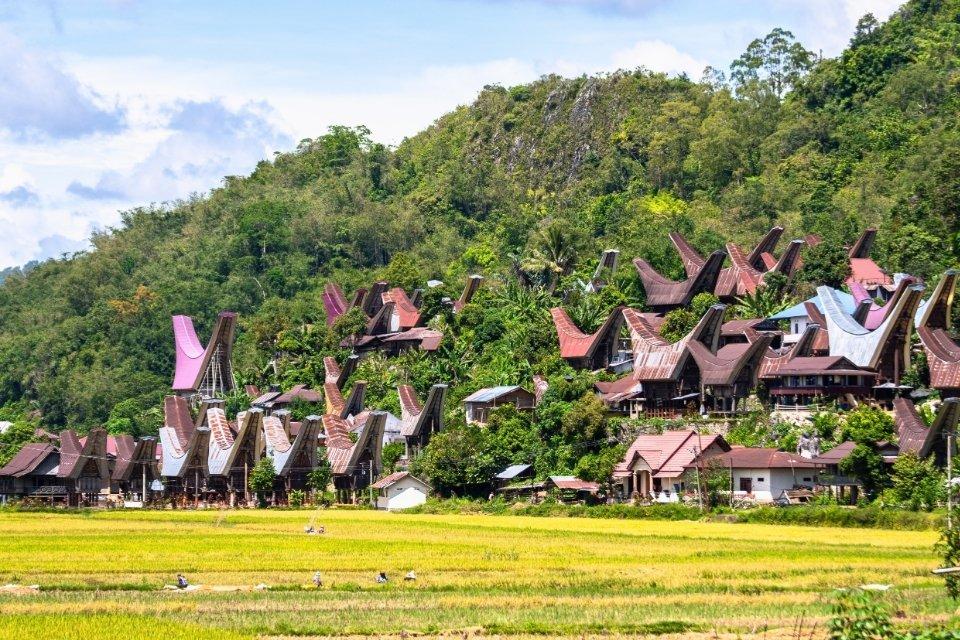 Traditionele huizen in Rantepao, Sulawesi, Tana Toraja, Indonesië