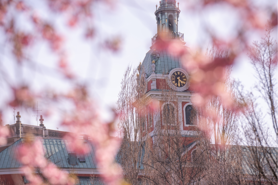 Kungsträdgården, Stockholm, Zweden