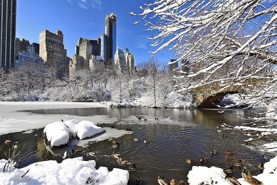 Sneeuw in Central Park, New York, Amerika
