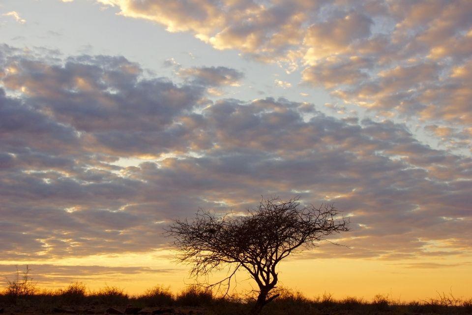 Sunset in de Kalahariwoestijn Namibië