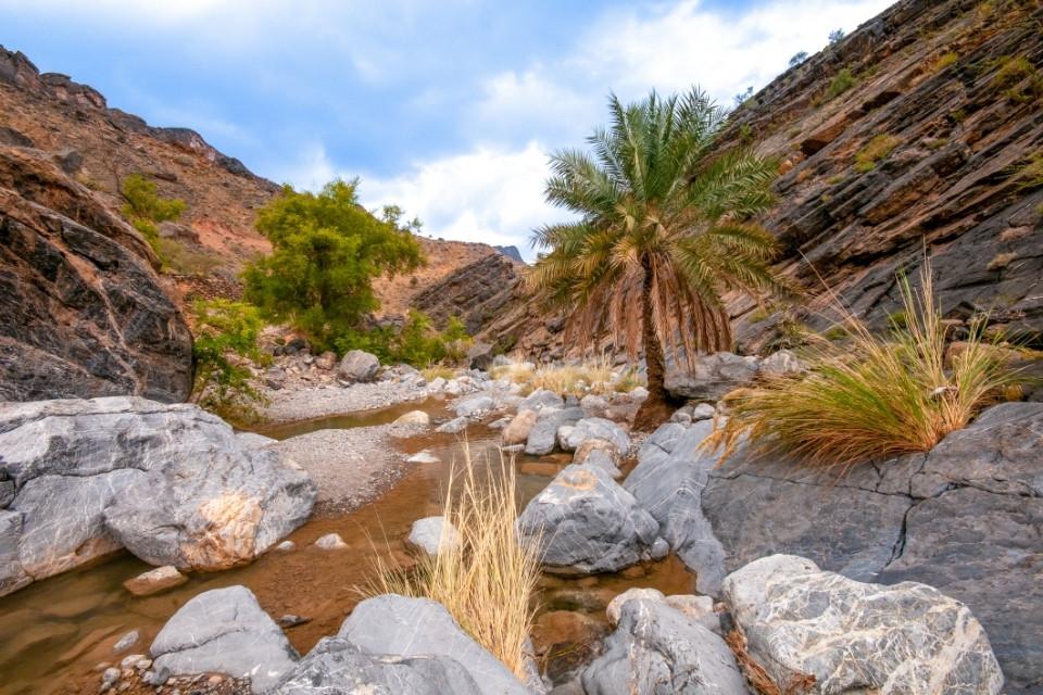 Wadi Bani Awf, Oman