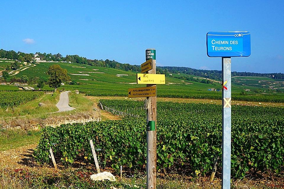 Wandelroutes in de Bourgogne, Frankrijk