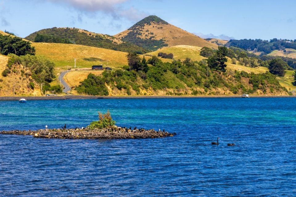 Otago Peninsula, Dunedin, Nieuw-Zeeland