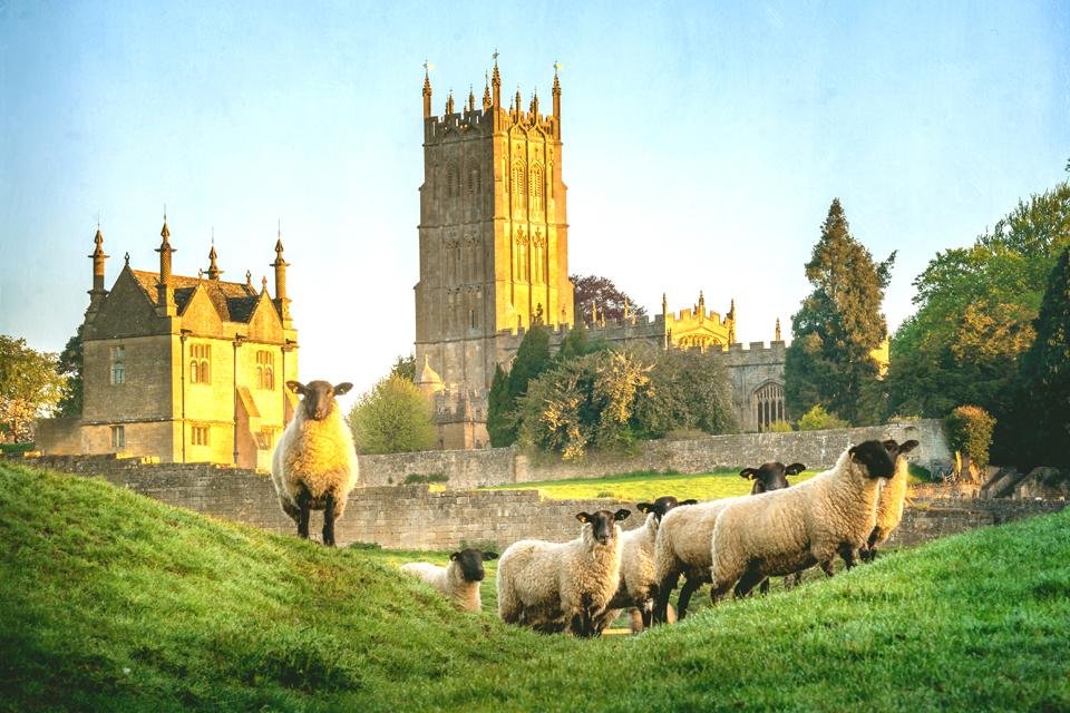 Schapen in Chipping Campden, Groot-Brittannië