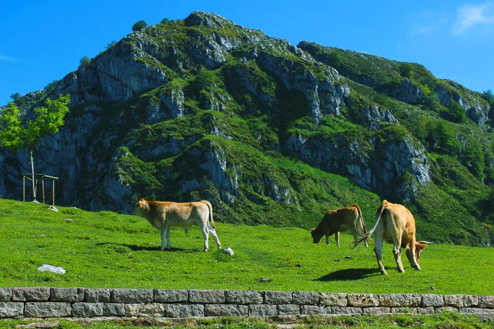 Picos de Europa, Spanje