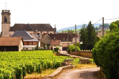 Pommard, Bourgogne, Frankrijk Pommard, Bourgogne, Frankrijk