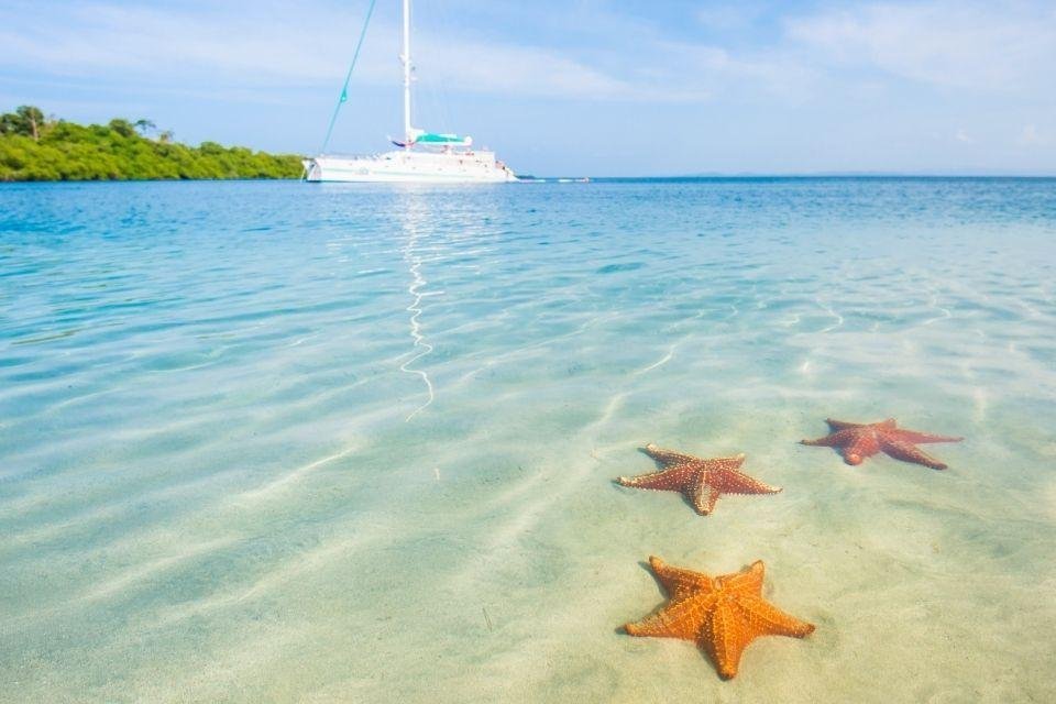 Zeesterren bij Bocas del Toro, Panama