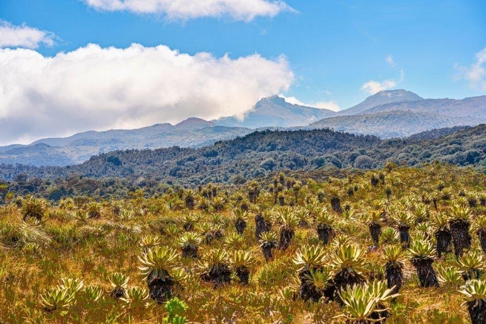 Puracé National Park Colombia