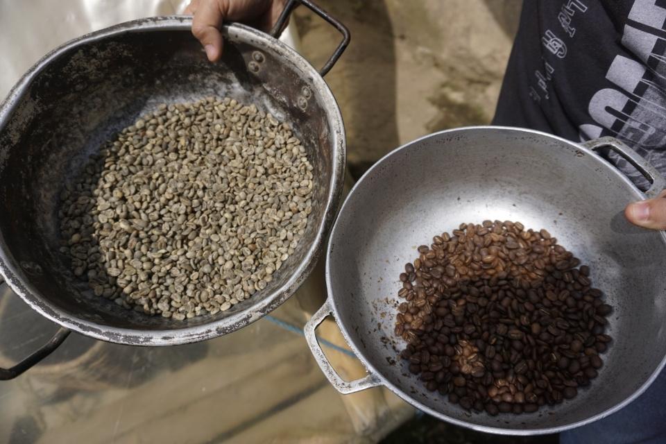 Ongebrande en gebrande koffiebonen in Eje Cafetera, Colombia