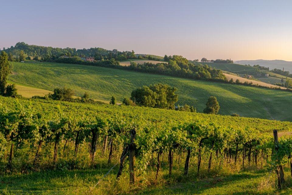 Het heuvelachtige landschap van Colli Bolognesi in Emilia-Romagna, Italië