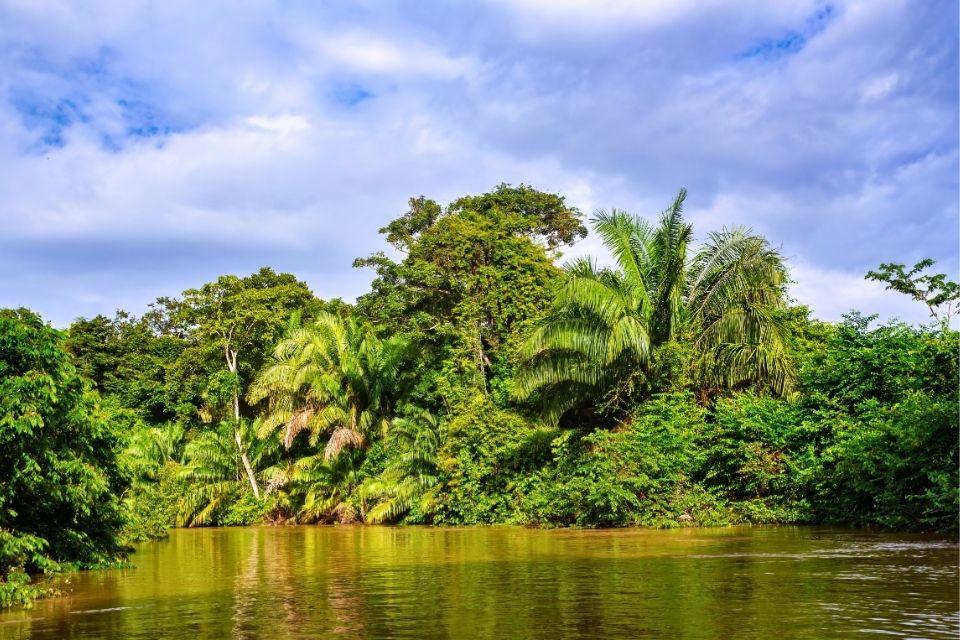 Het groene Caño Negro, Costa Rica