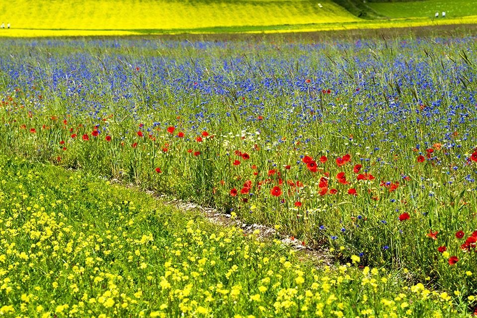 Umbrië, Italië