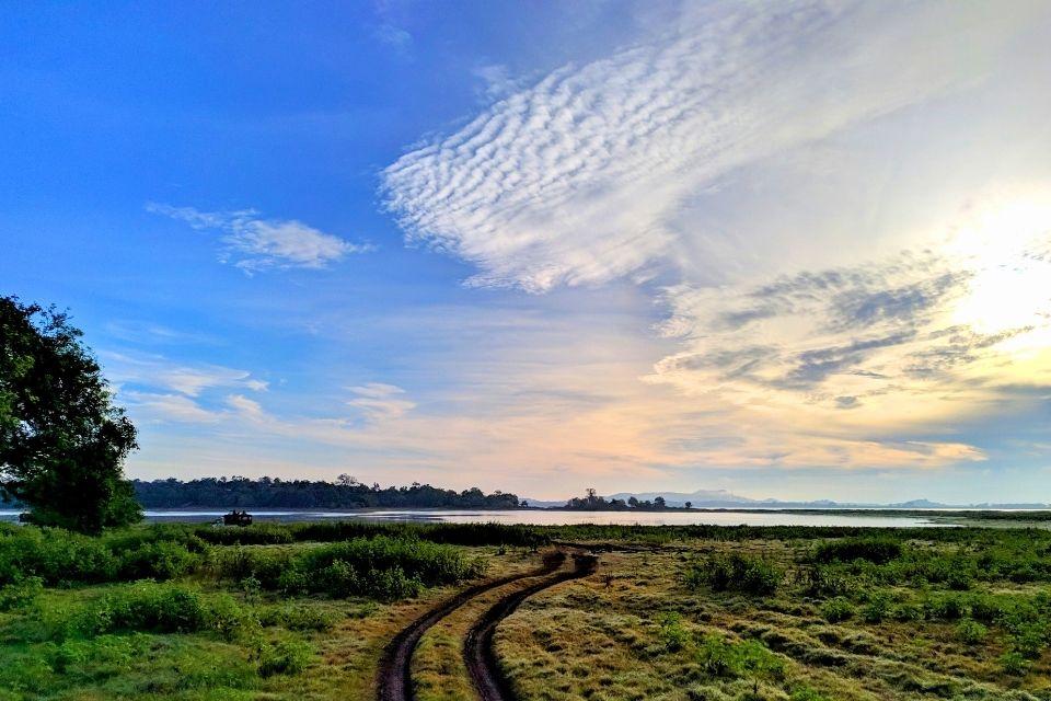 Uitzicht in Minneriya National Park, Sri Lanka