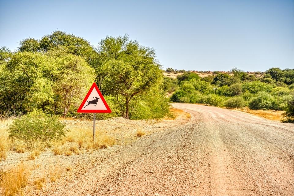 De Kalahariwoestijn, Namibië