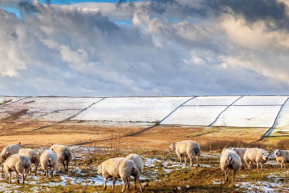 Het winterse landschap van het Peak District Groot-Brittannië