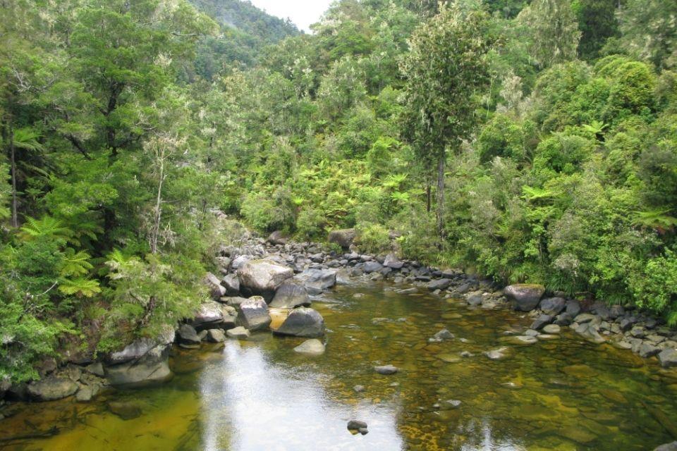 Abel Tasman National Park in Motueka, Nieuw-Zeeland