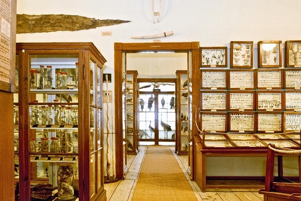 Naturalienkabinett in Waldenburg Duitsland