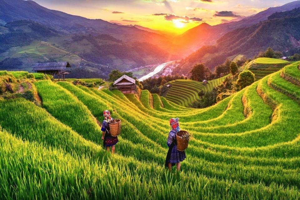 Hmong-vrouwen in de rijstterrassen van Lao Chai Sapa Vietnam