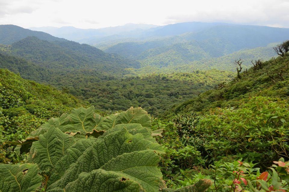 Monteverde Costa Rica