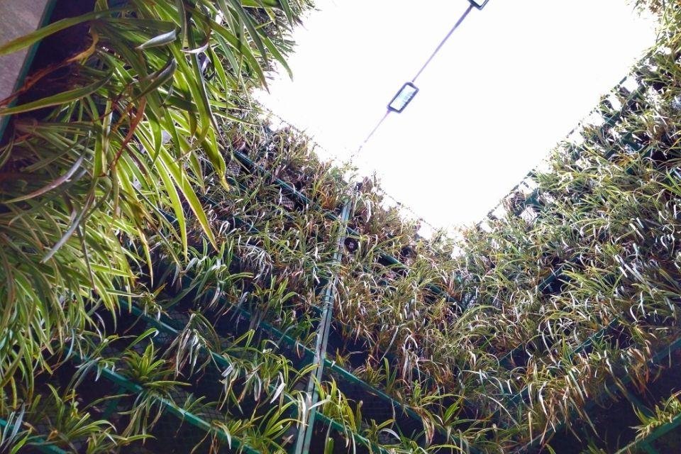 Een voorgaande editie van Kala Ghoda Arts Festival, Mumbai, India Een voorgaande editie van Kala Ghoda Arts Festival, Mumbai, India