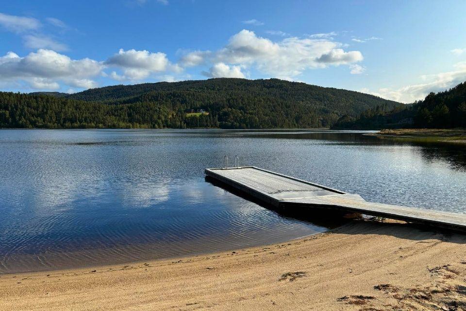 Strand bij het meer Lognavatn