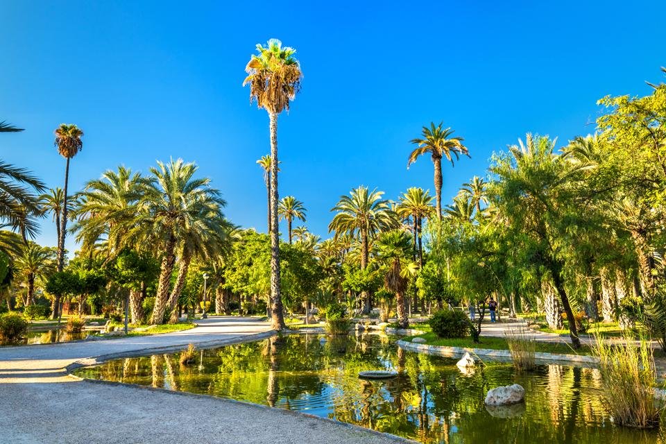 Palmbomen in de botanische tuin Huerta del Cura in Elche, Spanje