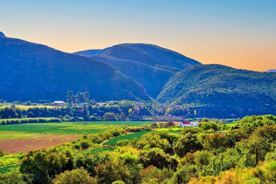 Boerderij in de Oudtshoorn-vallei Zuid-Afrika