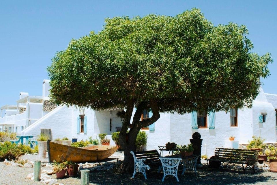 Witte huisjes in Paternoster, Zuid-Afrika