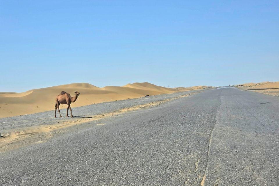 Karakumwoestijn bij Yerbent, Turkmenistan