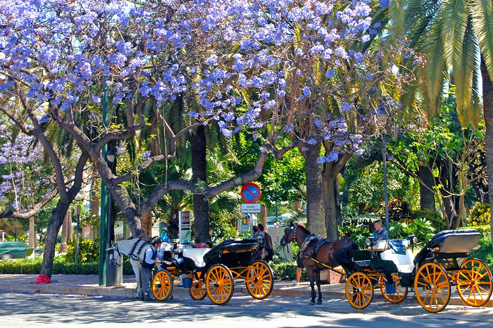 Sevilla, Andalusië, Spanje