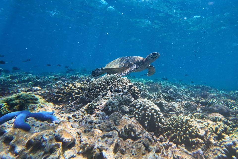 Onderwaterwereld van Nusa Penida