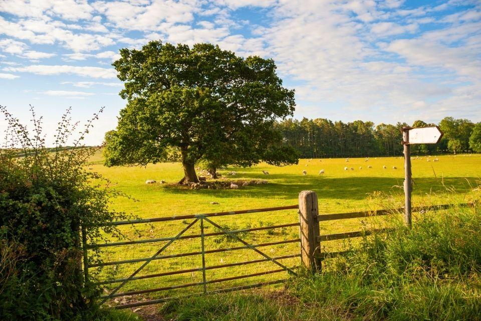 Northumberland National Park Groot-Brittannië