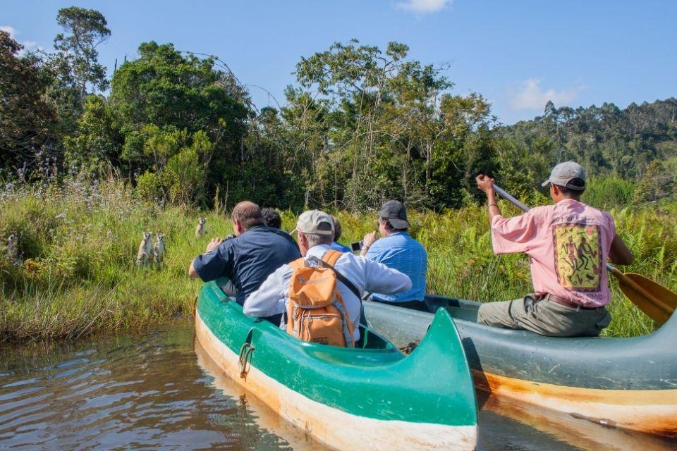 Lemureneiland in Andasibe National Park
