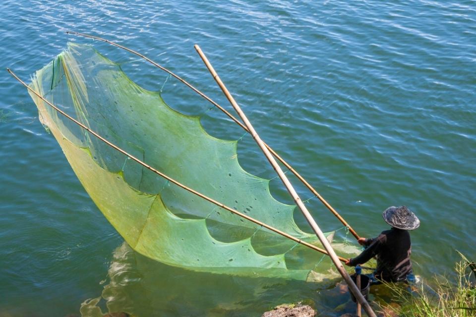 Visser op het Tondano-meer, Sulawesi, Indonesië