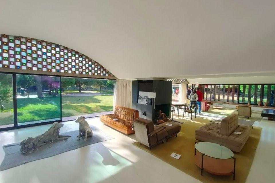 Chiara Camoni - Cani - Casa Gomis Manifesta 15