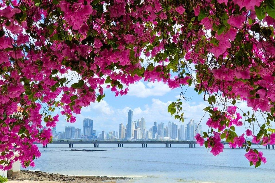 Wolkenkrabbers en oceaan in Panama City, Panama | Foto: reisexpert Tom