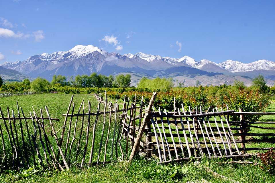 Landschap in Kirgizië | Foto: Peter van de Wiel
